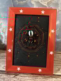 Image 5 of Punk Collection