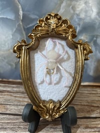 Image 1 of Rose Quartz mini