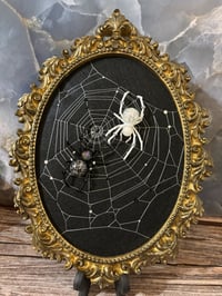 Image 1 of Black&White