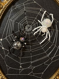 Image 2 of Black&White