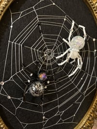 Image 4 of Black&White