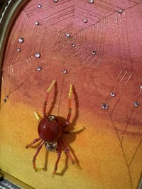 Image 3 of Celestial Skies Collection