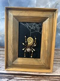 Image 5 of Fossil Collection