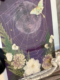 Image 3 of Spiderless Collection