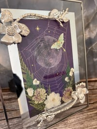 Image 2 of Spiderless Collection