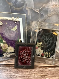 Image 1 of Spiderless Collection