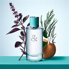 Image of TIFFANY & CO LOVE (TYPE)