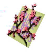 Image 7 of Sakura Sushi