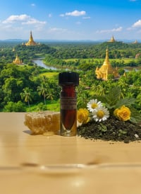 Image 2 of Kachin (2022 Wild Kachin)