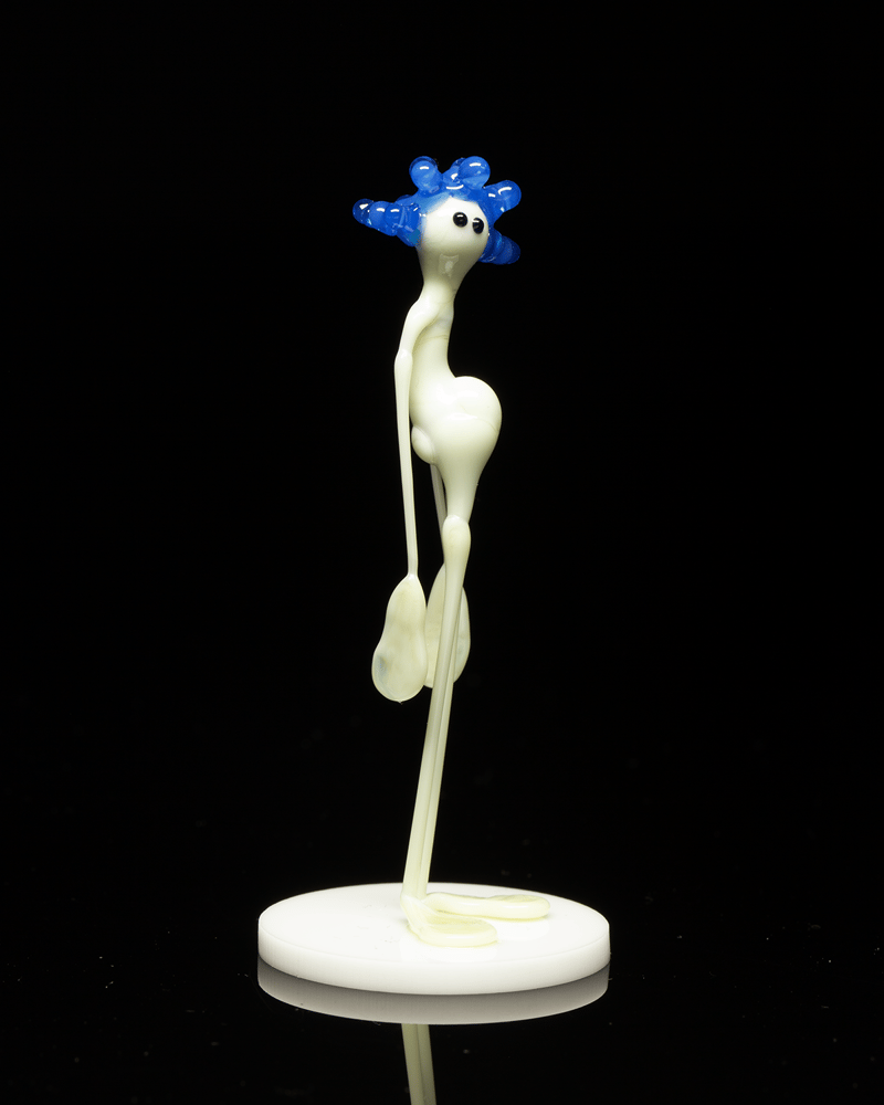 Image of amp in the wild - egyptian blue