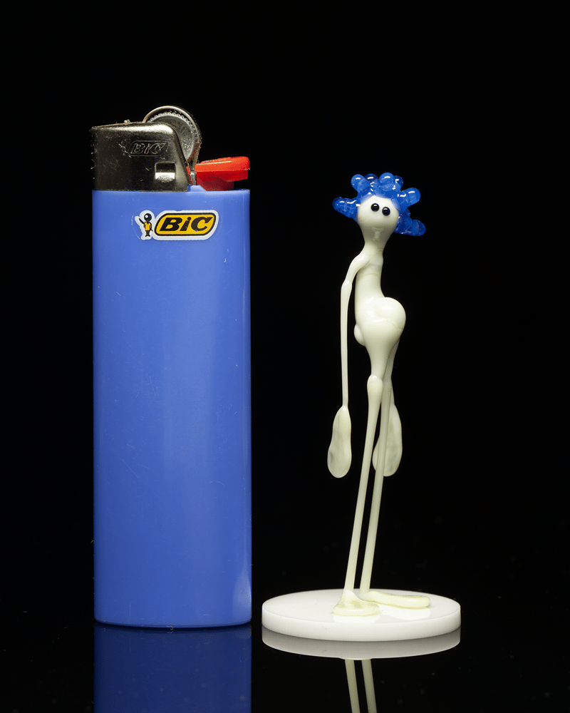 Image of amp in the wild - egyptian blue