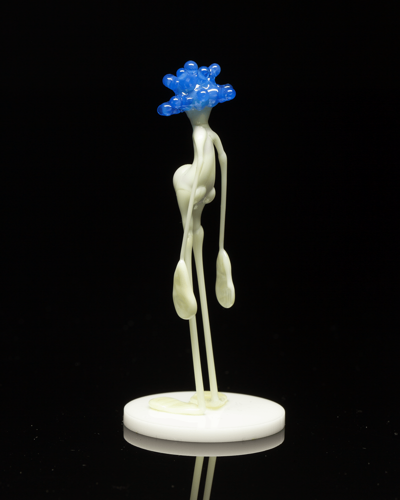 Image of amp in the wild - egyptian blue