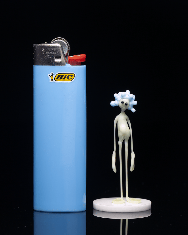 Image of amp in the wild - everest