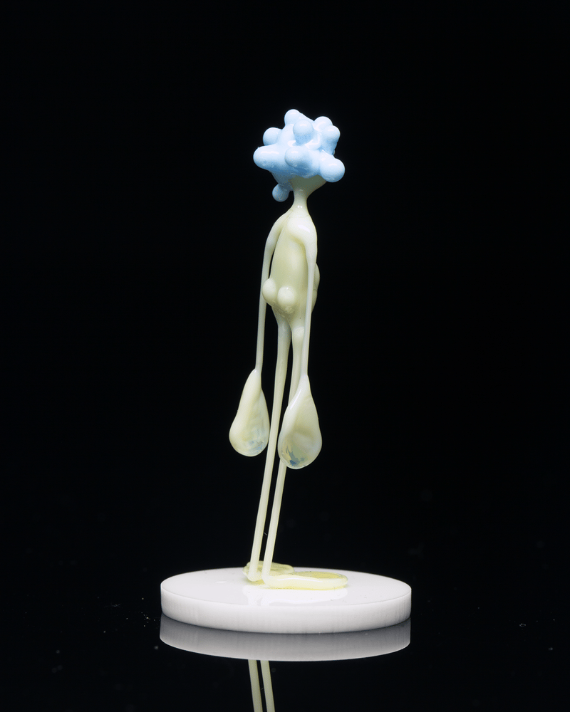 Image of amp in the wild - everest