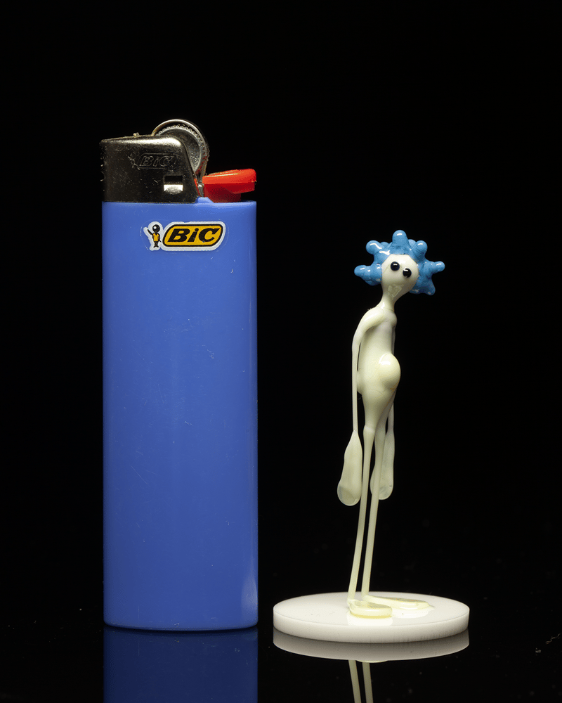 Image of amp in the wild - peacock