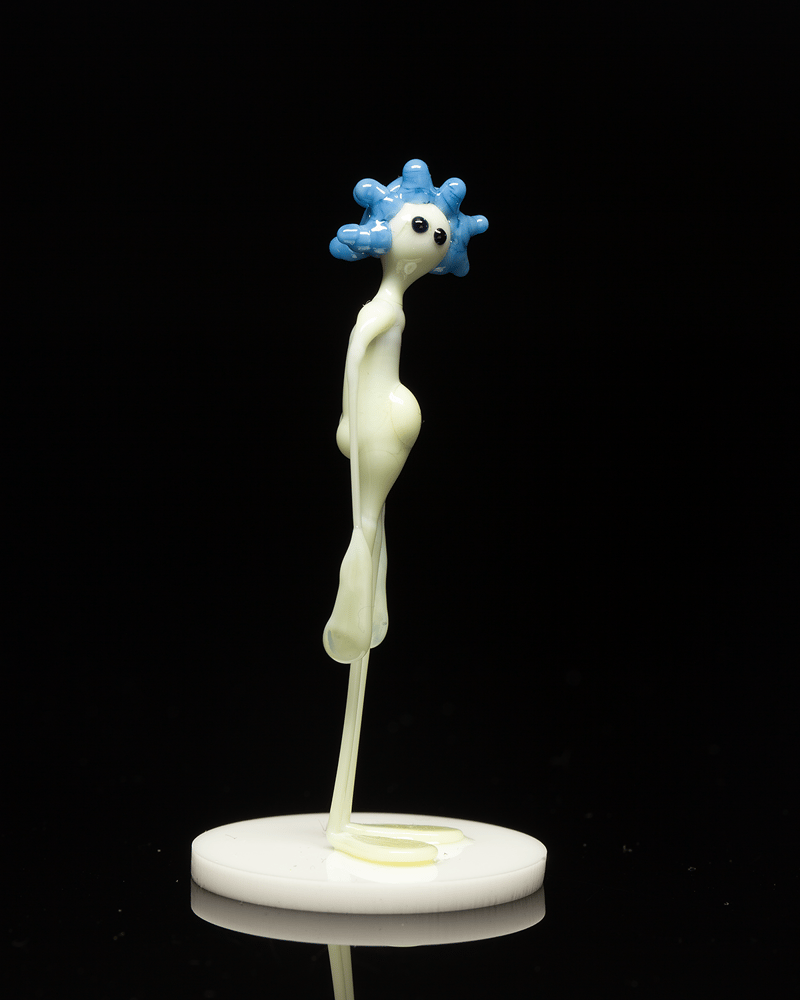 Image of amp in the wild - peacock