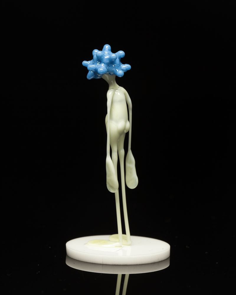 Image of amp in the wild - peacock