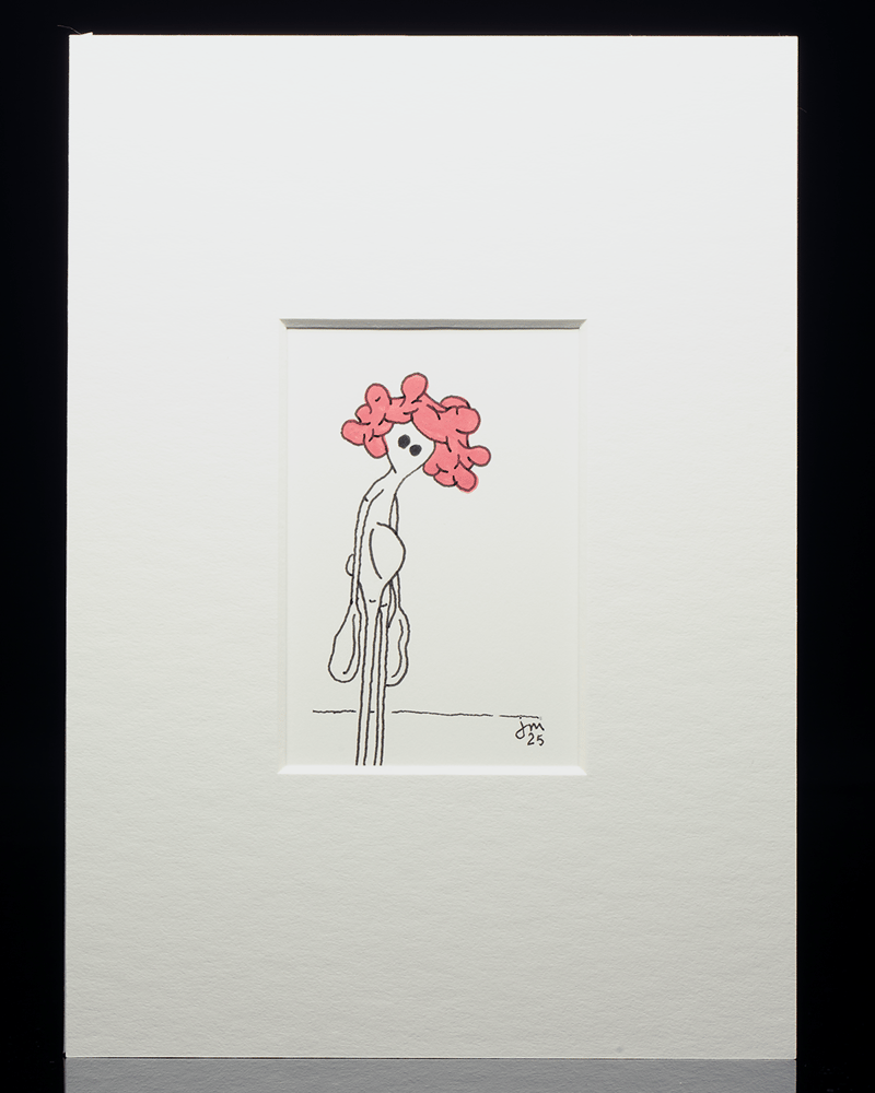 Image of amp in the wild - raspberry