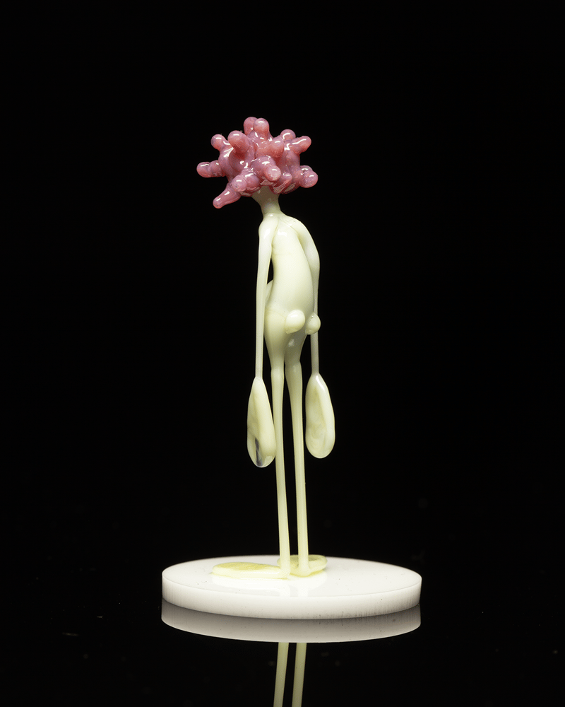 Image of amp in the wild - raspberry