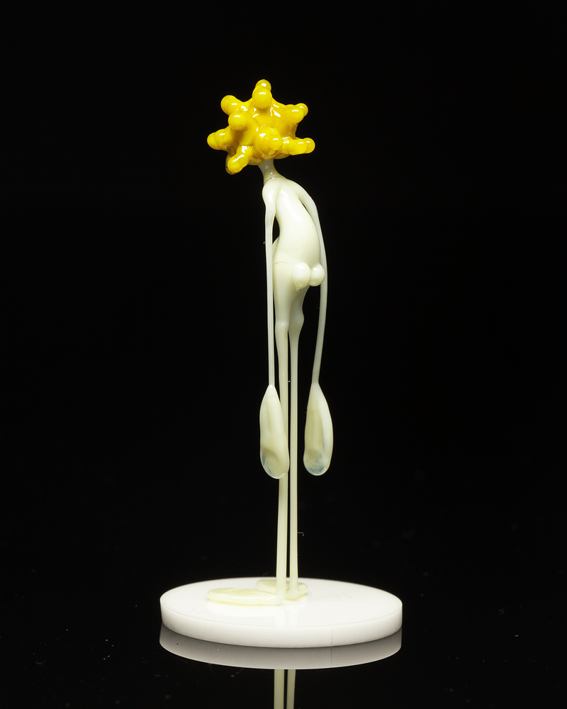 Image of amp in the wild - sunflower