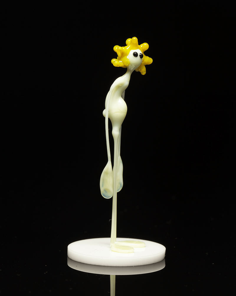 Image of amp in the wild - sunflower