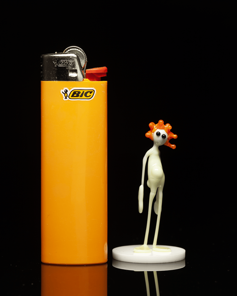 Image of amp in the wild - tangelo