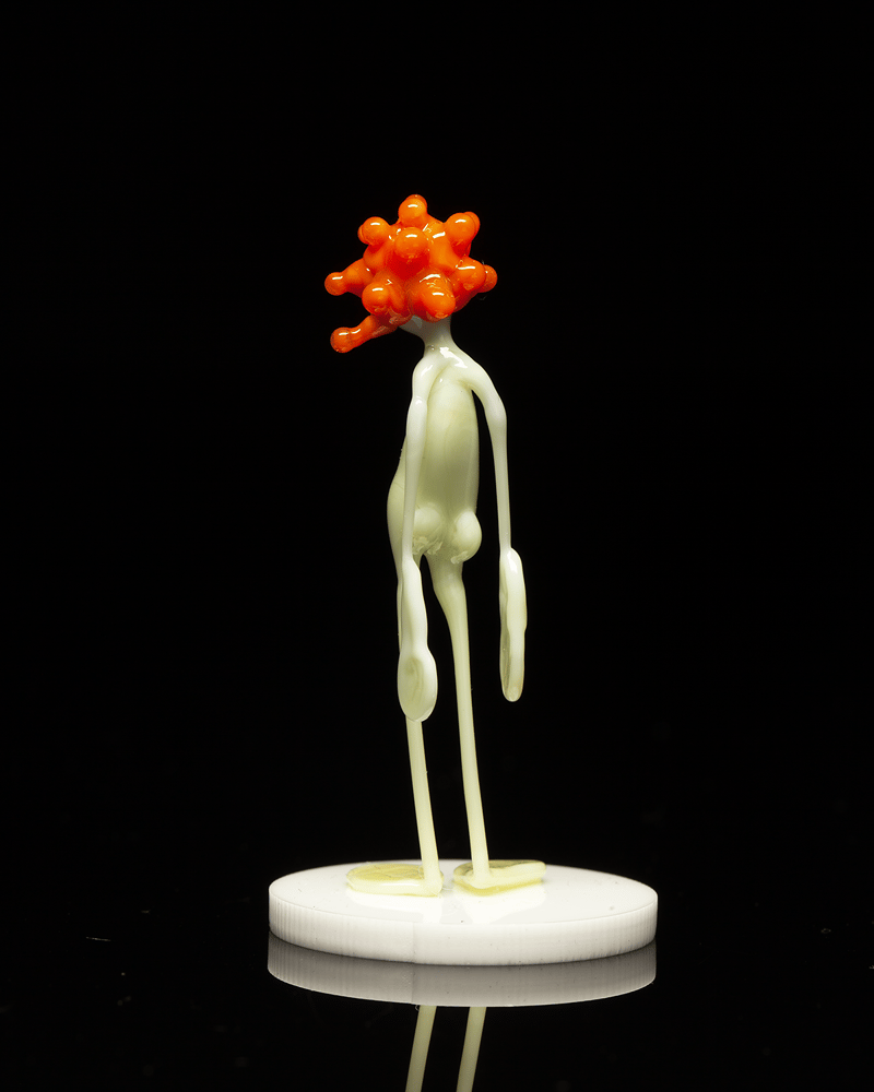 Image of amp in the wild - tangelo