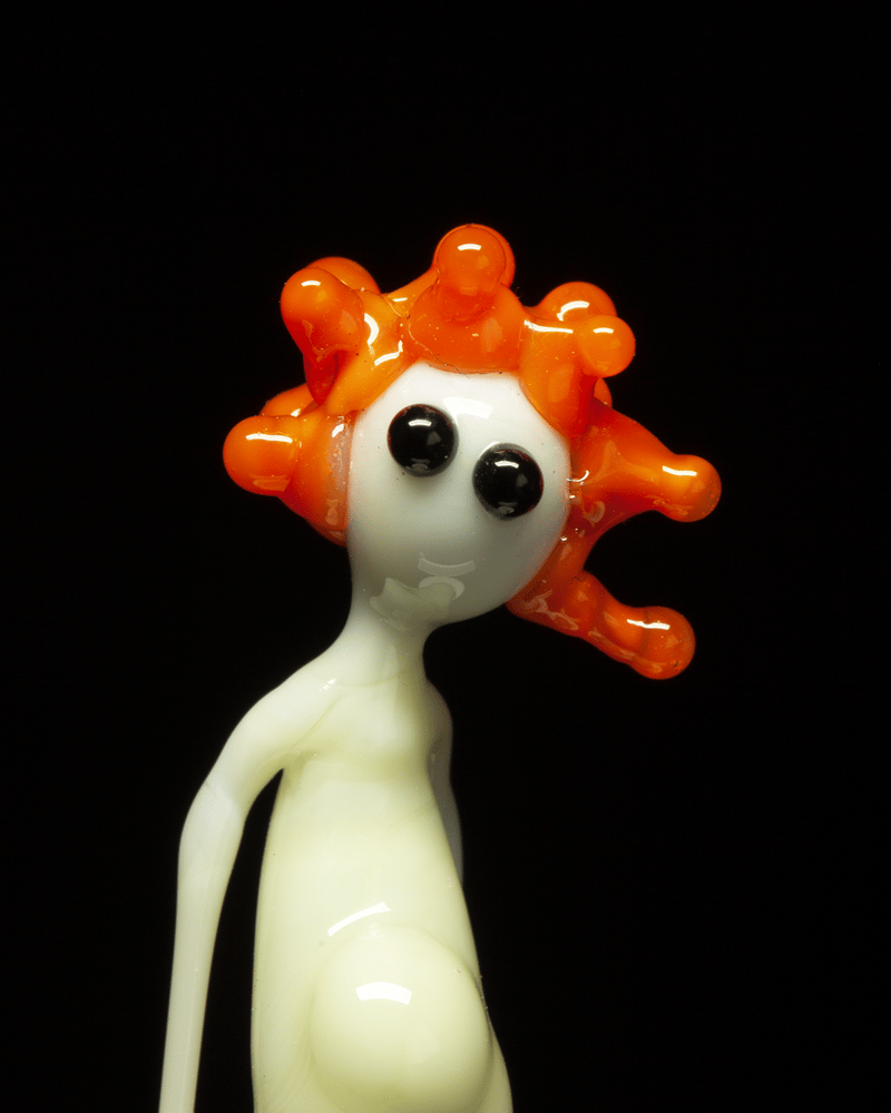 Image of amp in the wild - tangelo