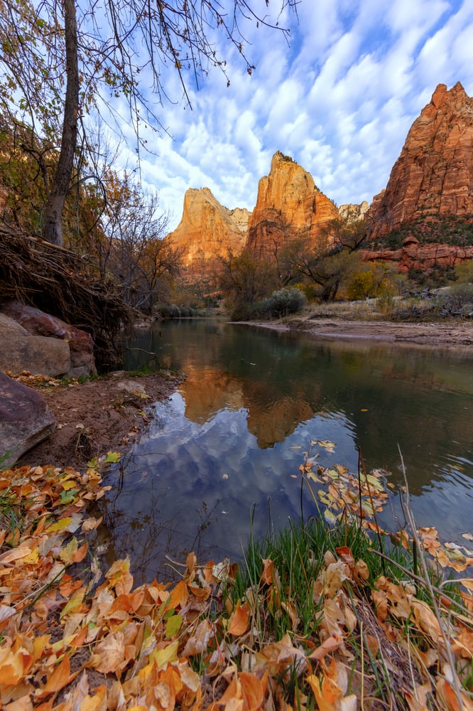 Image of Court of the Patriarchs