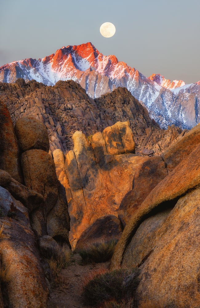 Image of Lone Pine Moon
