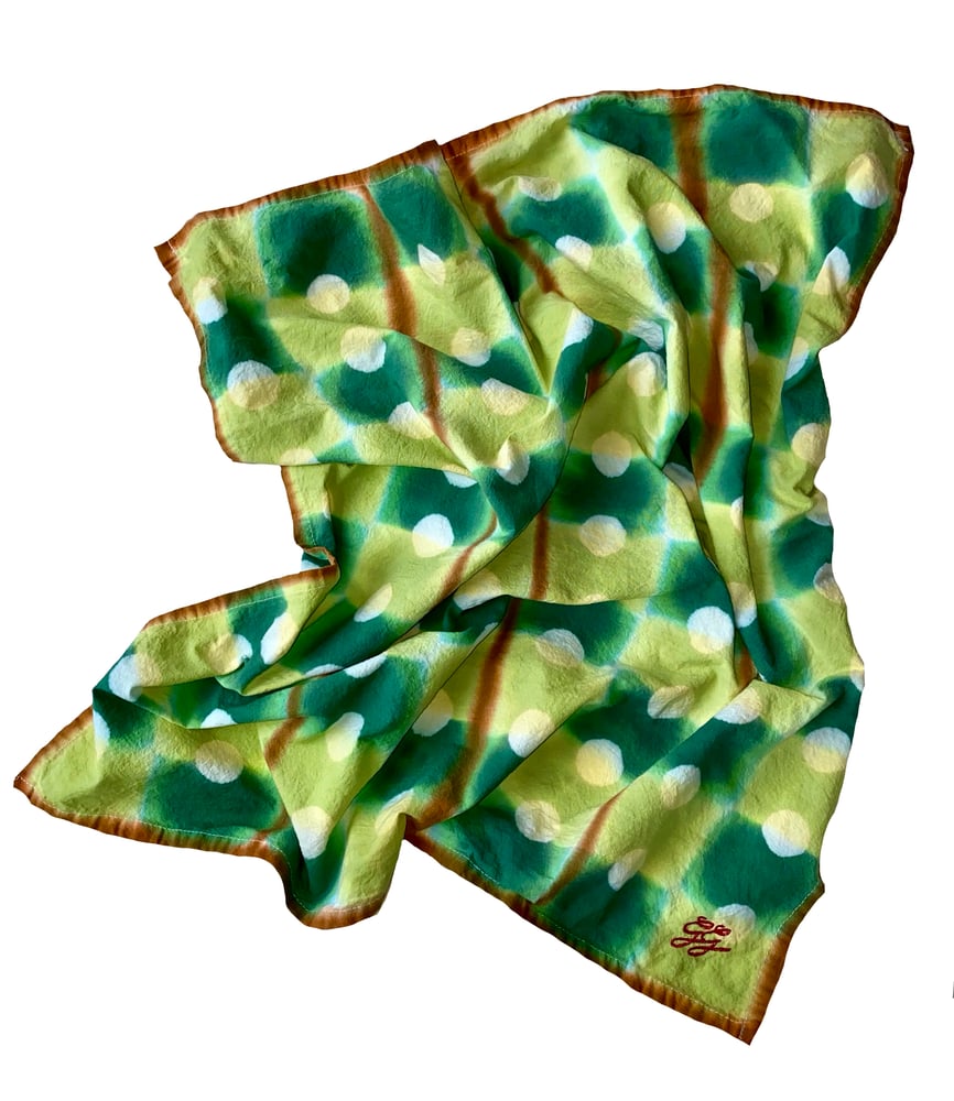 Image of Tadpoll Party