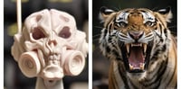 Image 5 of 【Pre order】sexyice Smasher tiger helmet head 1/12 sacle