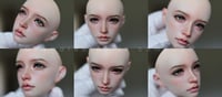 Image 1 of Rainman Venus LE  Komorebidolls One of a Kind Head