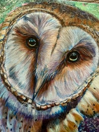 Image 4 of Original Acrylic Barn Owl Painting by Tammy Mercier