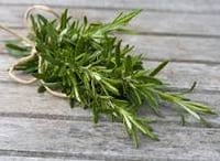 Image 1 of Rosemary Essential Oil