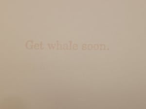 Image of Get Whale Soon