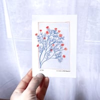 Image 3 of Épinettes