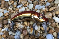 Image 2 of Custom Airbrushed Wakebait 6455