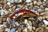 Image 1 of Custom Airbrushed Wakebait 6455