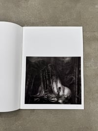 Image 12 of H.R. Giger: Heavy Metal Index - Knowledge Editions