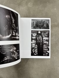 Image 13 of H.R. Giger: Heavy Metal Index - Knowledge Editions