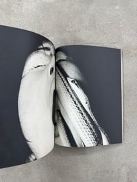 Image 25 of Ken Magazine Volume 1 and 2 - Shomei Tomatsu et al. 