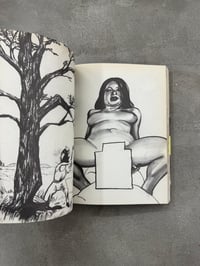 Image 11 of Lingerie Wrestling - Tomoo Gokita