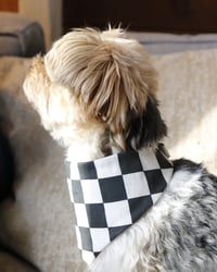 Image 3 of BANDANA | Classic Check