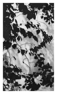 Image 4 of WORKSHOP - CHARCOAL DRAWING 