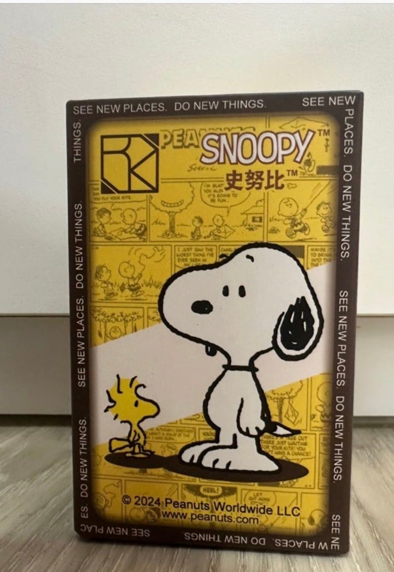 Image of Snoopy See New Places Blind Box 🐶