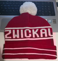 **ON SALE** Brand New FSV Zwickau Germany Football/Ultras Hat