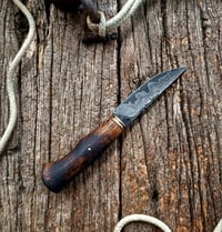 Image 2 of Utilitaire chêne 