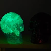 Image 2 of V7 skull set