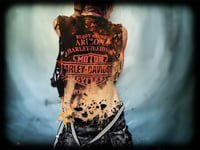 Image 6 of HARLEY I ShReDdeD CroP (Large)